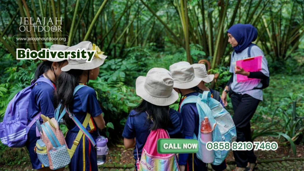 Model Pengembangan Pembelajaran Luar Ruang Anak dan Remaja di Indonesia