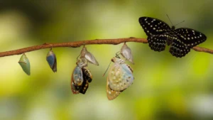 Menghadirkan Perubahan Melalui Outdoor Education