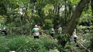 Praktek lapangan Analisa vegetasi Baung Ecological Camp 2025