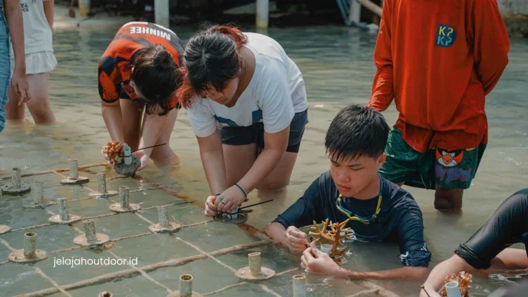Nature & Conservation Program | Mangrove Planting di Pulau Seribu