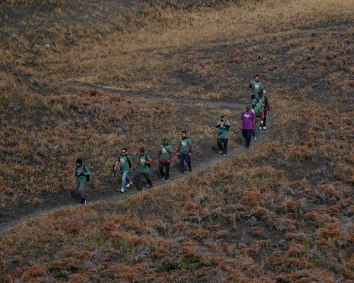 Outdoor Team Development: Rescue, Leadership, Survival