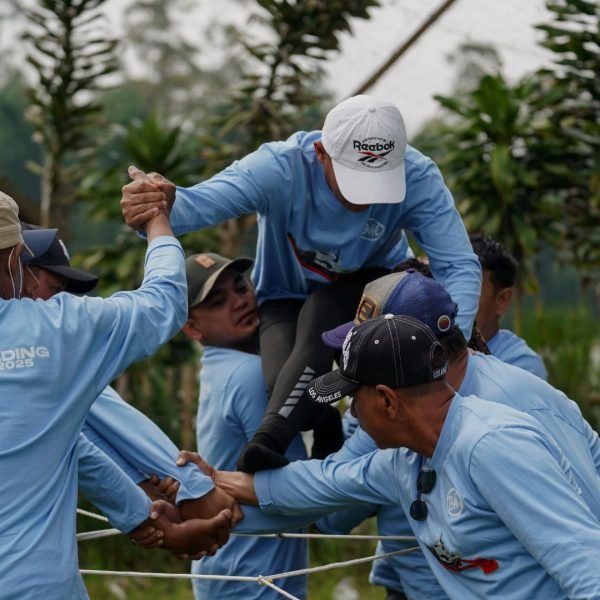 Team Learning through experiences