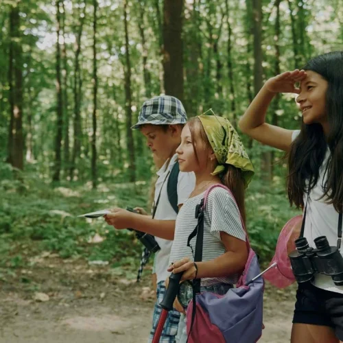 Pengertian, Prinsip, dan Manfaat Outdoor Education